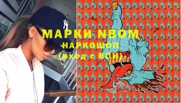 прущие грибы Алзамай