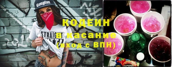 прущие грибы Алзамай