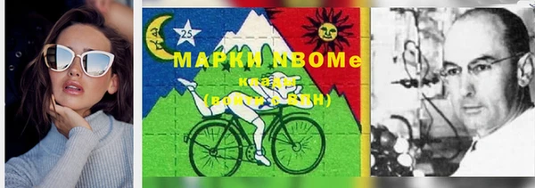 прущие грибы Алзамай