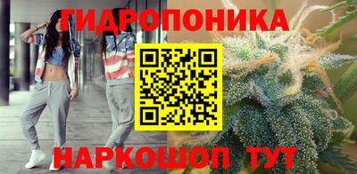 jwh Аргун