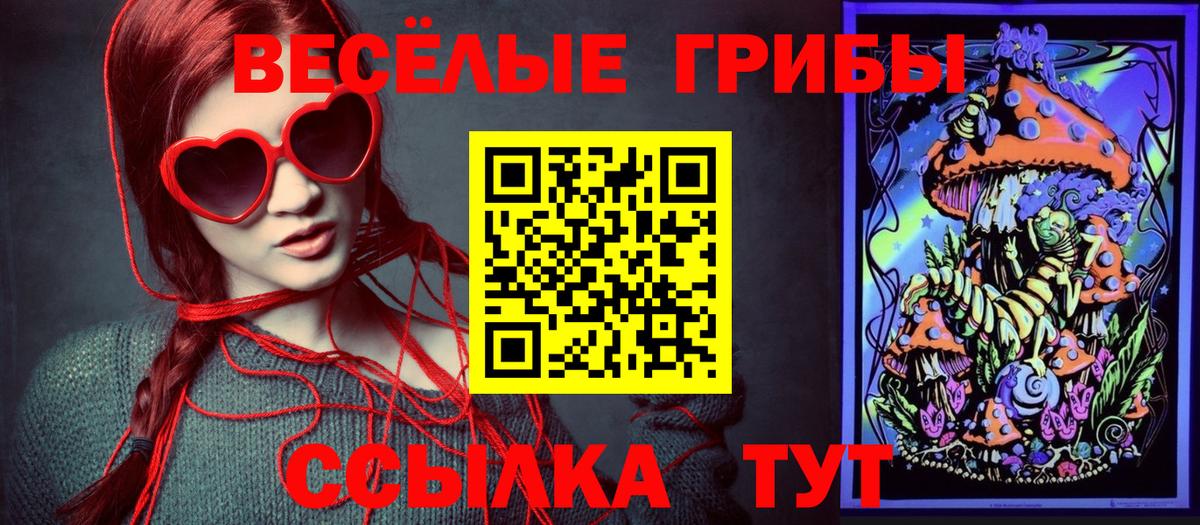 Галлюциногенные грибы мухоморы Богородицк
