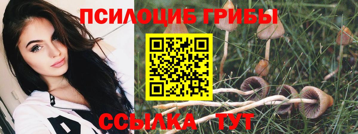 Галлюциногенные грибы ЛСД  магазин    Псилоцибиновые грибы GOLDEN TEACHER  Богородицк  Вход с VPN 